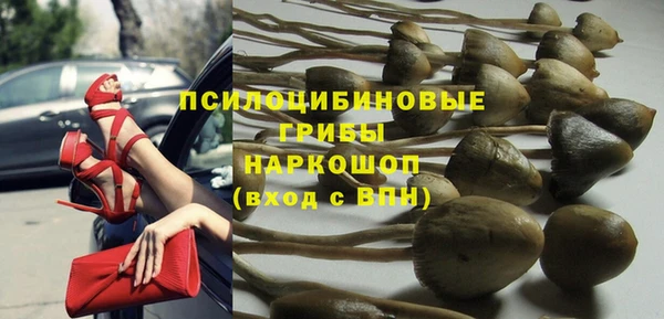 mdma Бородино